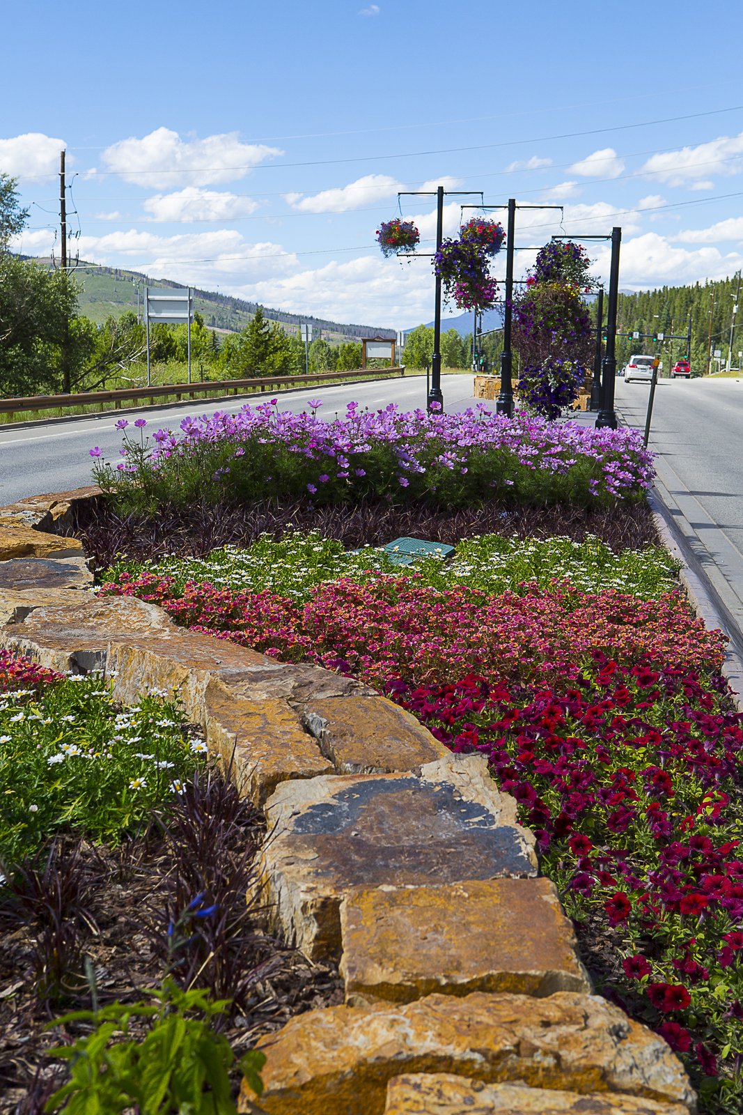 Hand-stacked stone wall with seasonal planting