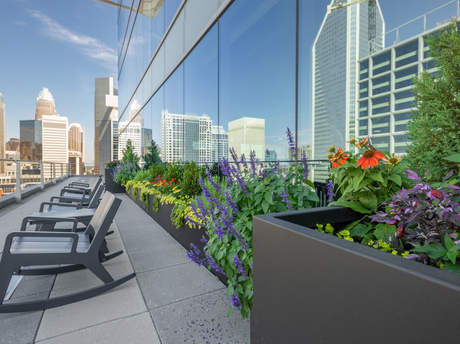 Planted office terrace in Uptown Charlotte