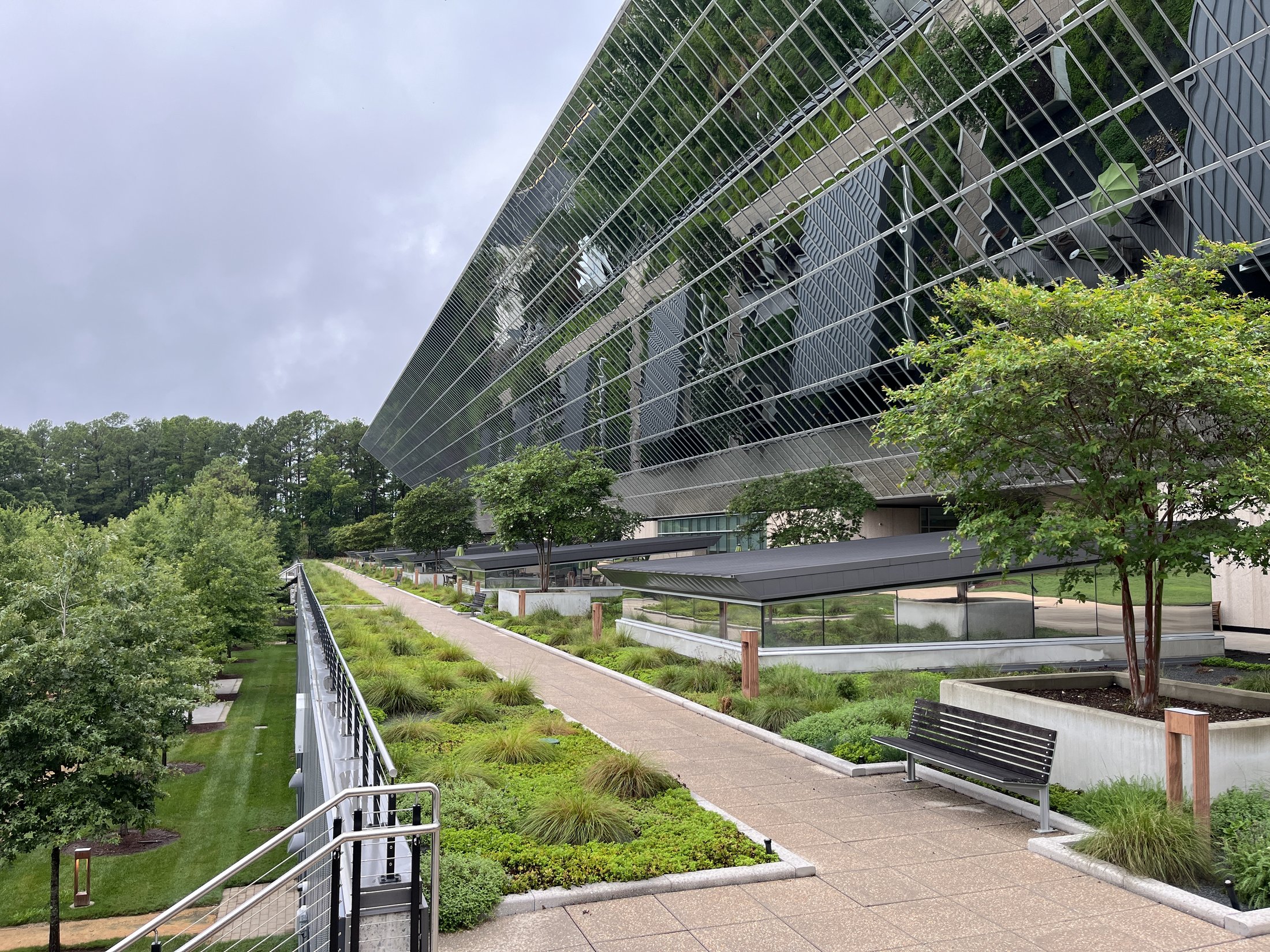 The green-roof walk at The Parkline, Chapel Hill