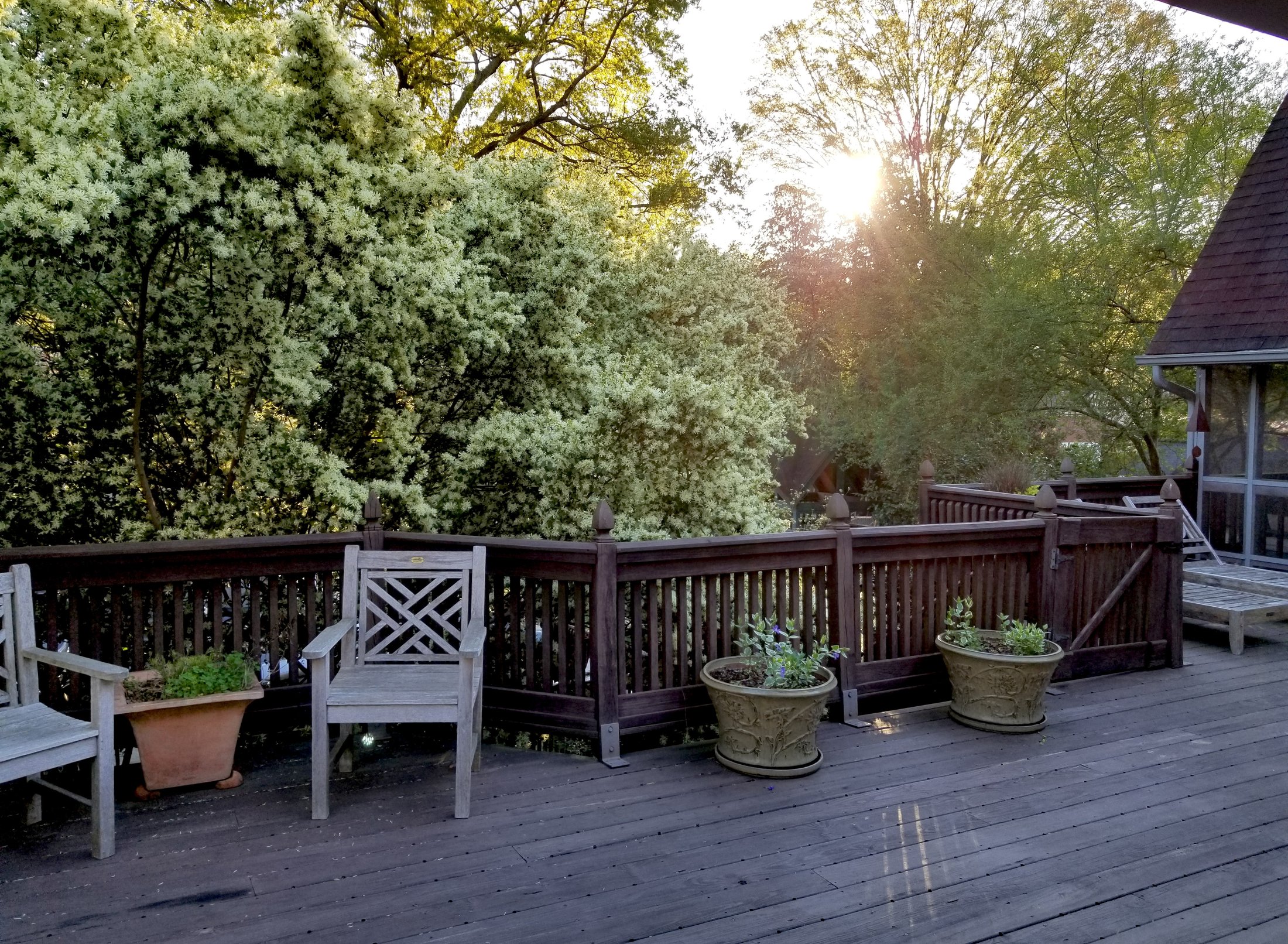 A back-of-house terrace in Charlotte's Myers Park at golden hour