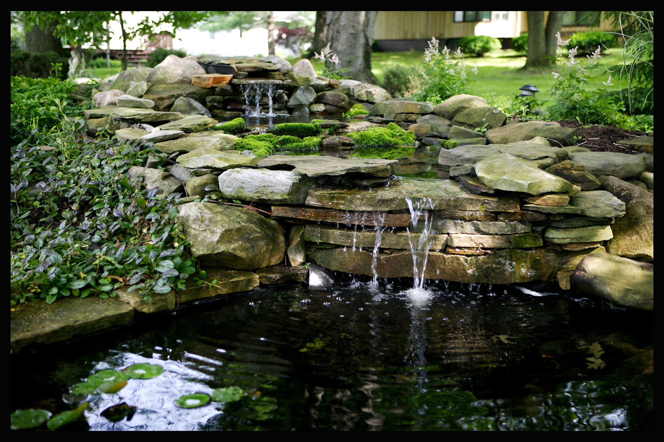 A koi pond and waterfall water garden